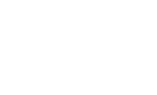The Maverick Logo